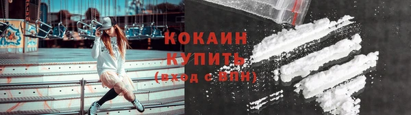 стафф Михайловск