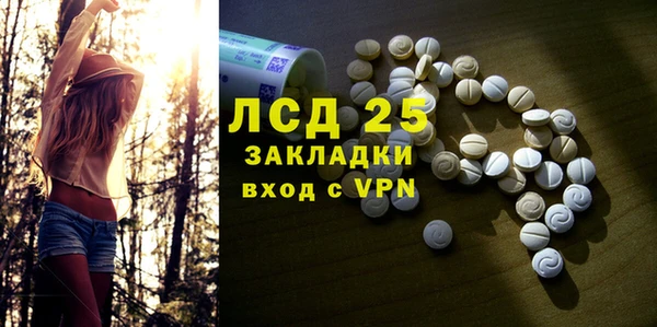 PSILOCYBIN Гусиноозёрск