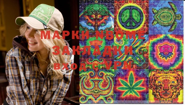 стафф Михайловск